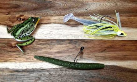 Weedless Bass Lure: What It Does, and a Few Good Choices
