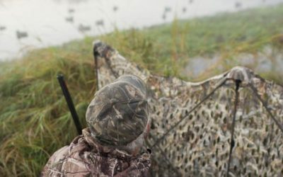 You Can’t Go Wrong with These Duck Decoy Spreads