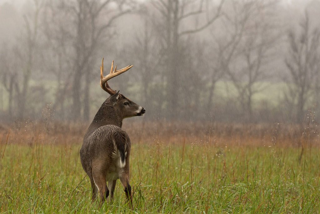 Best Hunting Season Weather