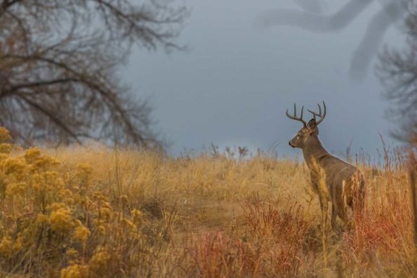 4 Things to Take Away From a Failed Hunting Trip