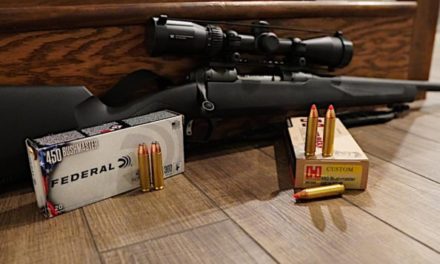 .450 Bushmaster: 8 Great Hunting Rifles Chambered for the Straight Wall Cartridge
