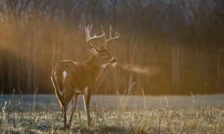 5 Best Gifts for Hunters of 2021: Affordable, Useful, & Fun