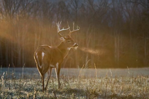 best gifts for hunters