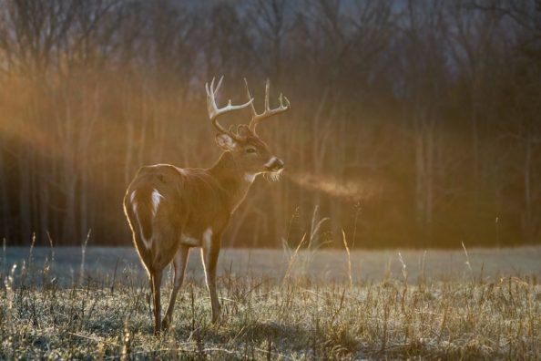 5 Best Gifts for Hunters of 2021: Affordable, Useful, & Fun