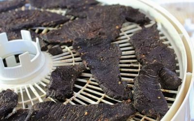 5 Best Venison Jerky Recipes From Around the Web