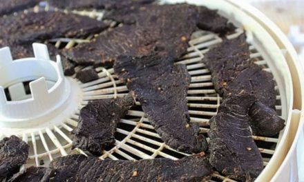5 Best Venison Jerky Recipes From Around the Web