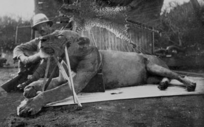 5 Chilling Real-Life ‘Man-Eaters’ Just in Time for Halloween