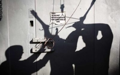 700 Pounds of Stolen Venison Leads to Poaching Charges for Ohio Deer Processing Business