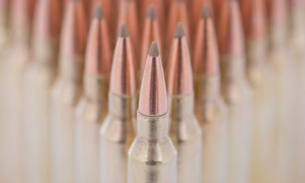 7mm Remington Magnum: Profiling the Rifle Cartridge