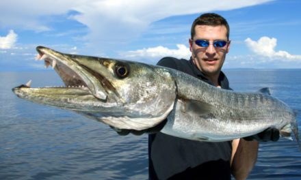 Barracuda Fishing: Places to Go and Gear to Use