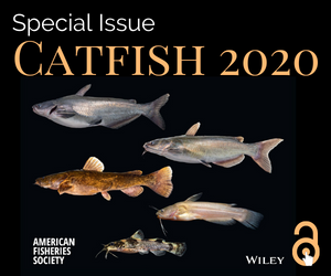 “Blinded Me with Science”, Catfish 2020