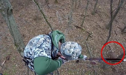 Bowhunter Smokes 190-Inch Buck of a Lifetime With a Traditional Recurve Bow