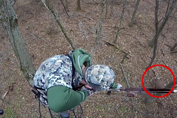 Bowhunter Smokes 190-Inch Buck of a Lifetime With a Traditional Recurve Bow