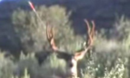 Bowhunter’s Missed Shot is Gonna Make You Cringe