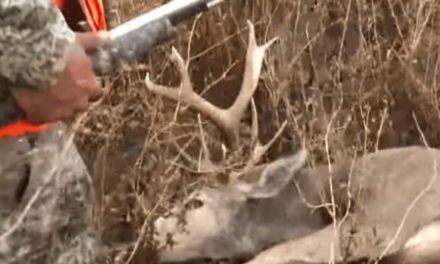 Deer Seemingly Tries to Get Even With Hunter