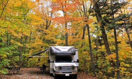 Fall Camping in Michigan: The Best Time To Head Outdoors in the Great Lakes State