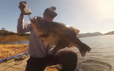Fisherman Hooks and Lands a 17-Pound Bass