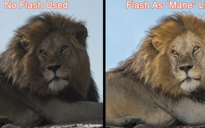 Get The Most Out Of Your Flash, Part 2