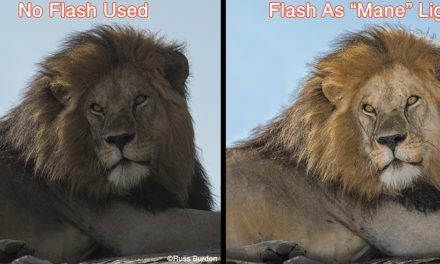 Get The Most Out Of Your Flash, Part 2