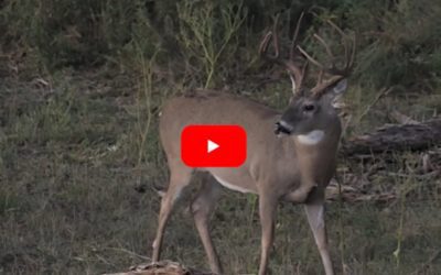 Giant Oklahoma 10-Pointer Goes Down in Exciting Opening Day Muzzleloader Hunt