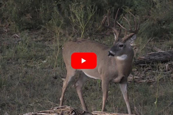 Giant Oklahoma 10-Pointer Goes Down in Exciting Opening Day Muzzleloader Hunt