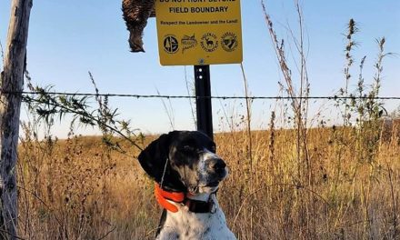 How to Hunt Nebraska’s Public Lands