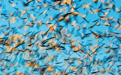 Motion Blur Assignment Winner Jemma Lee