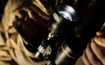 Night Hunting Lights: The Best Colors and Styles for Hogs, Coyotes, and More
