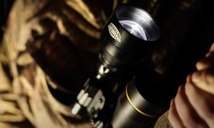 Night Hunting Lights: The Best Colors and Styles for Hogs, Coyotes, and More