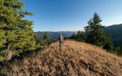 Out-of-State Hunting: Best Ways to Improve Your Success
