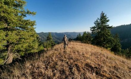 Out-of-State Hunting: Best Ways to Improve Your Success