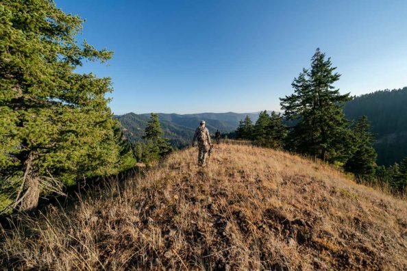Out-of-State Hunting: Best Ways to Improve Your Success
