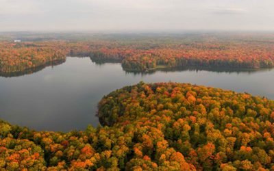 Photo Of The Day By Dan Mitler