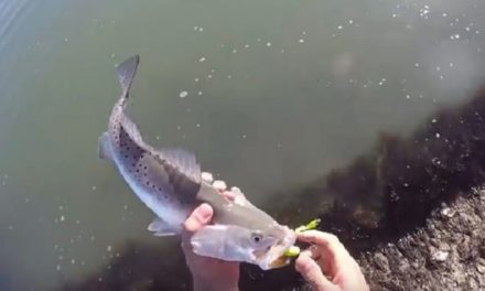 Poor Fishing Etiquette Leads to Frustrating Situation While the Bite is On