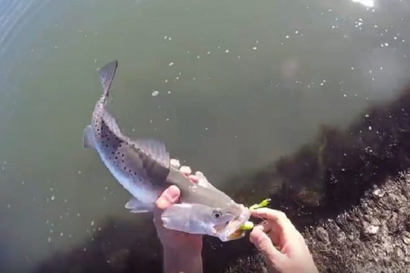 Poor Fishing Etiquette Leads to Frustrating Situation While the Bite is On