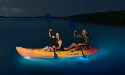 Puerto Rico’s Bioluminescent Bays Make for an Otherworldly Experience