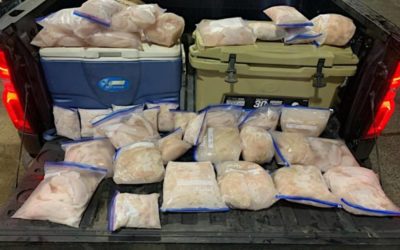 Texas Fish Poachers Caught with 173 Crappie Over the Limit