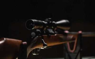 Weatherby Rifles: The American Firearm and Ammo Company Making Bolt Actions, Shotguns, and Hunting Ammunition
