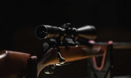 Weatherby Rifles: The American Firearm and Ammo Company Making Bolt Actions, Shotguns, and Hunting Ammunition