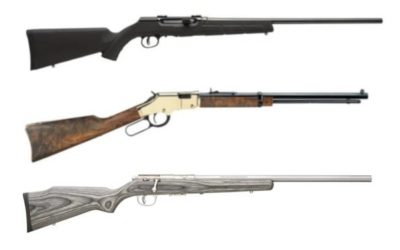 .17 HMR: 8 of the Top Rifles for Plinking and Varmint Hunting