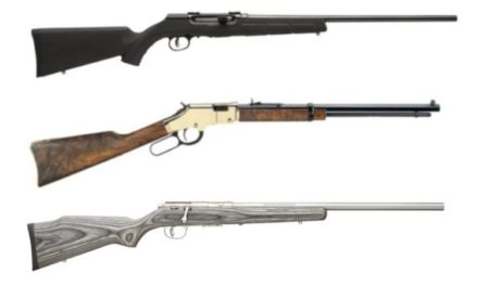 .17 HMR: 8 of the Top Rifles for Plinking and Varmint Hunting