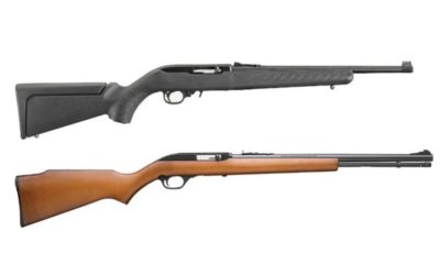 .22 Rifles: 10 of the Best for Plinking and Hunting Fun