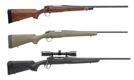 .270 Winchester Rifles: 10 Top Choices For the Classic Hunting Round