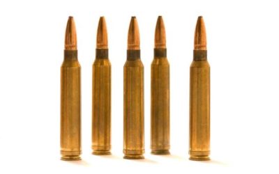 300 Winchester Magnum: All There is to Know About the Caliber