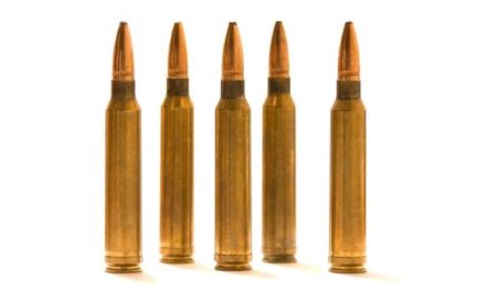 300 Winchester Magnum: All There is to Know About the Caliber