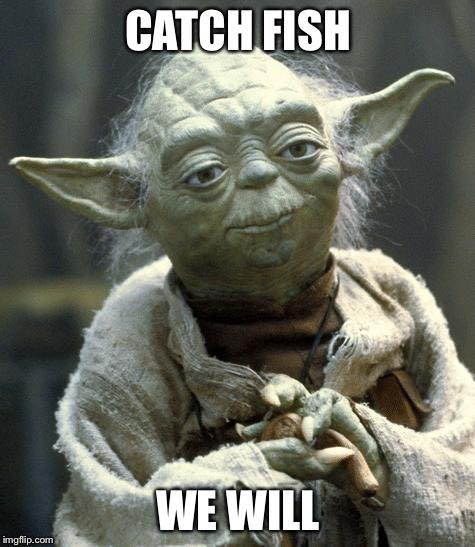 YodaCatchFish