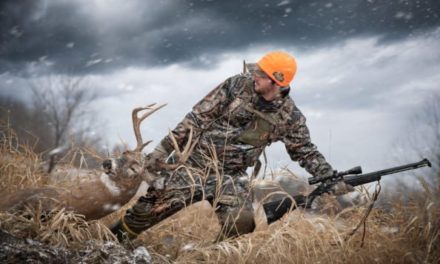 Antler Point Restrictions: Are They Good or Bad for Hunting?