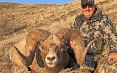 Boone and Crockett Announces New State Record Bighorn Sheep for Washington State