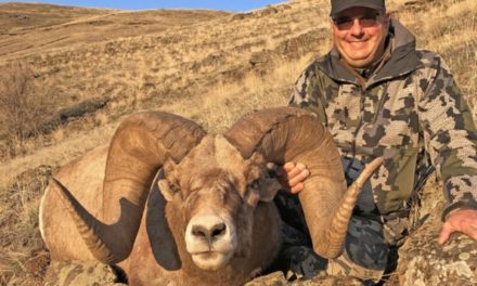 Boone and Crockett Announces New State Record Bighorn Sheep for Washington State