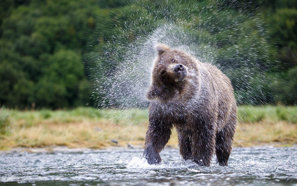 Celebrating Our Public Lands Assignment Winner Elissa Title